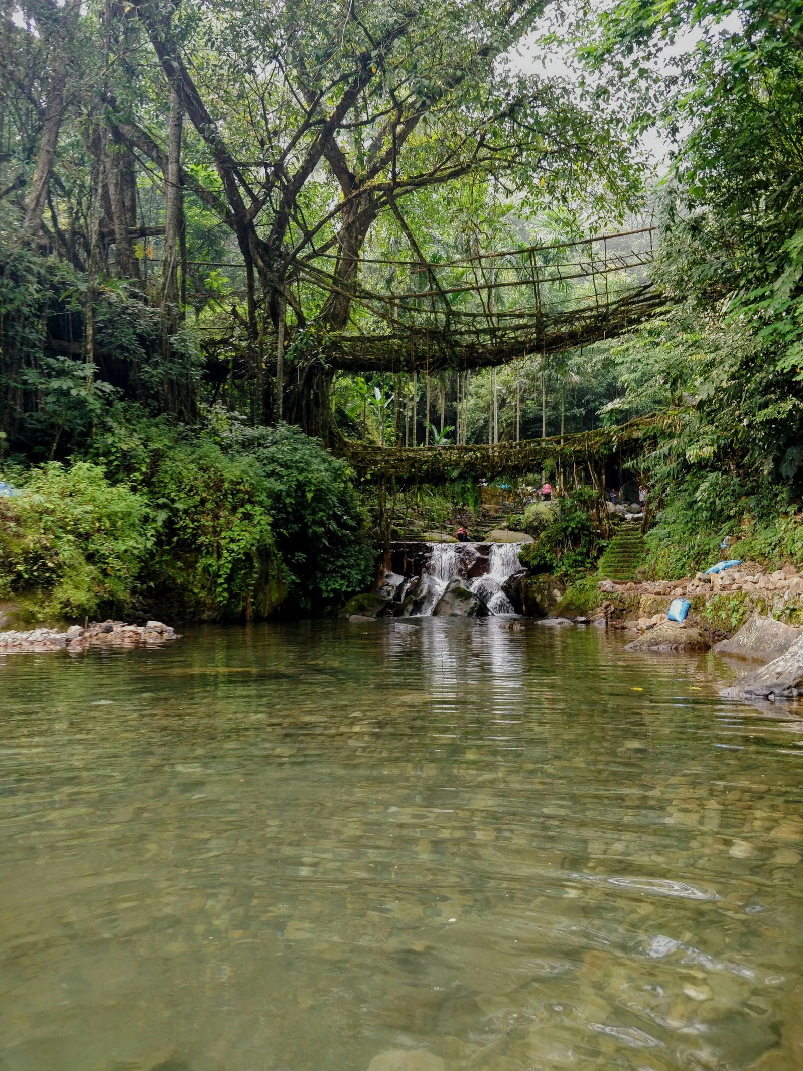 Kaziranga Shillong Cherrapunji Tour Package