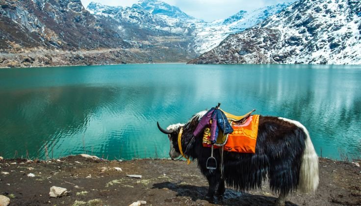 GANGTOK AND DARJEELING